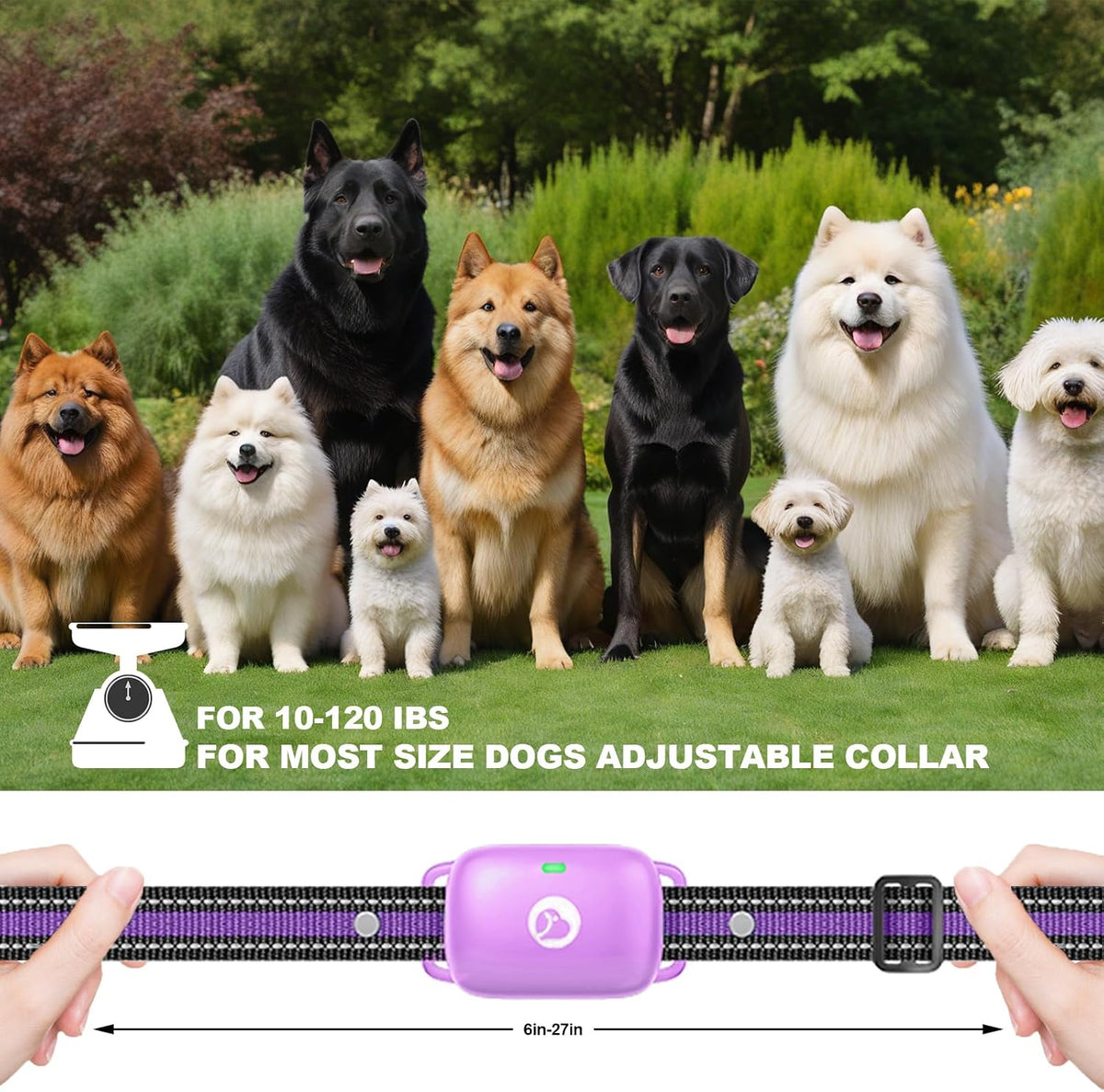 Shock Collar for Dogs 2600FT,Dog Training Collar with Remote Purple