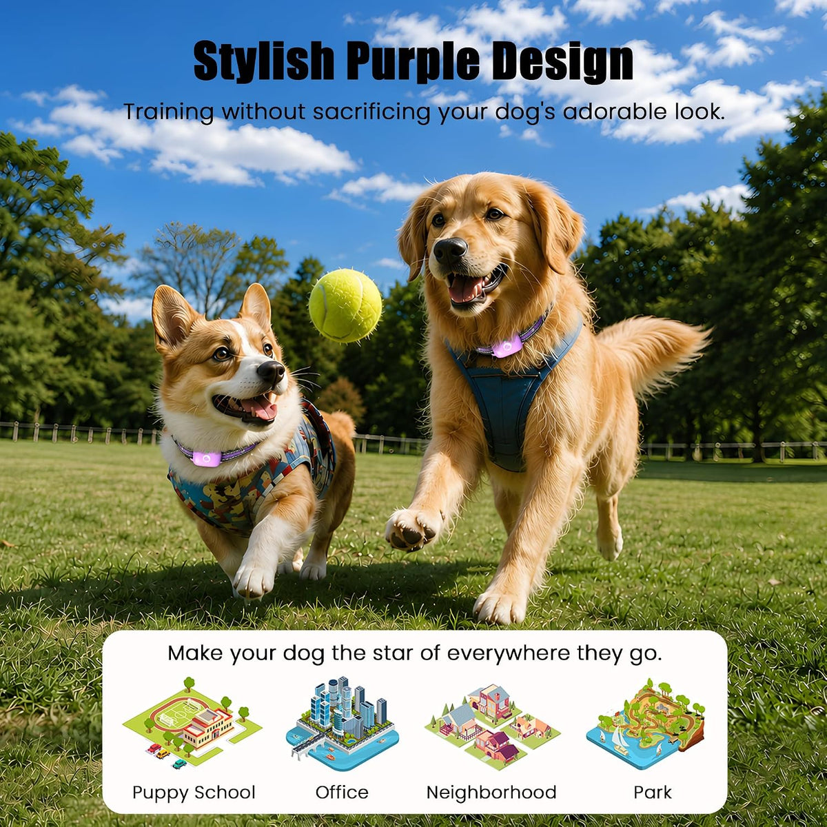 Shock Collar for Dogs 2600FT,Dog Training Collar with Remote Purple
