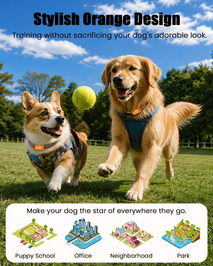 Shock Collar for Dogs 2600FT,Dog Training Collar with Remote Purple