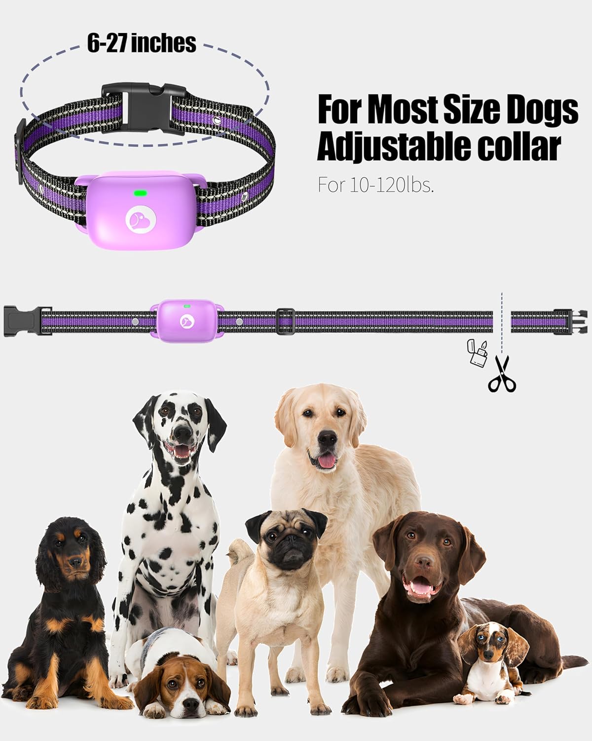 Shock Collar for Dogs 2600FT,Dog Training Collar with Remote Purple