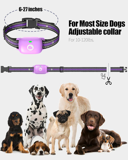 Shock Collar for Dogs 2600FT,Dog Training Collar with Remote Purple
