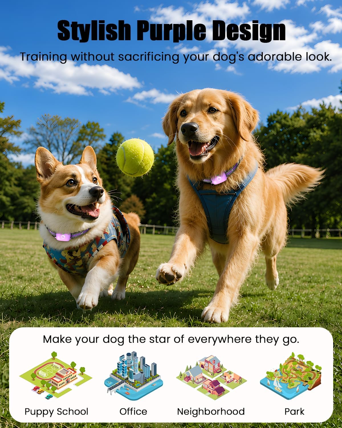 Shock Collar for Dogs 2600FT,Dog Training Collar with Remote Purple