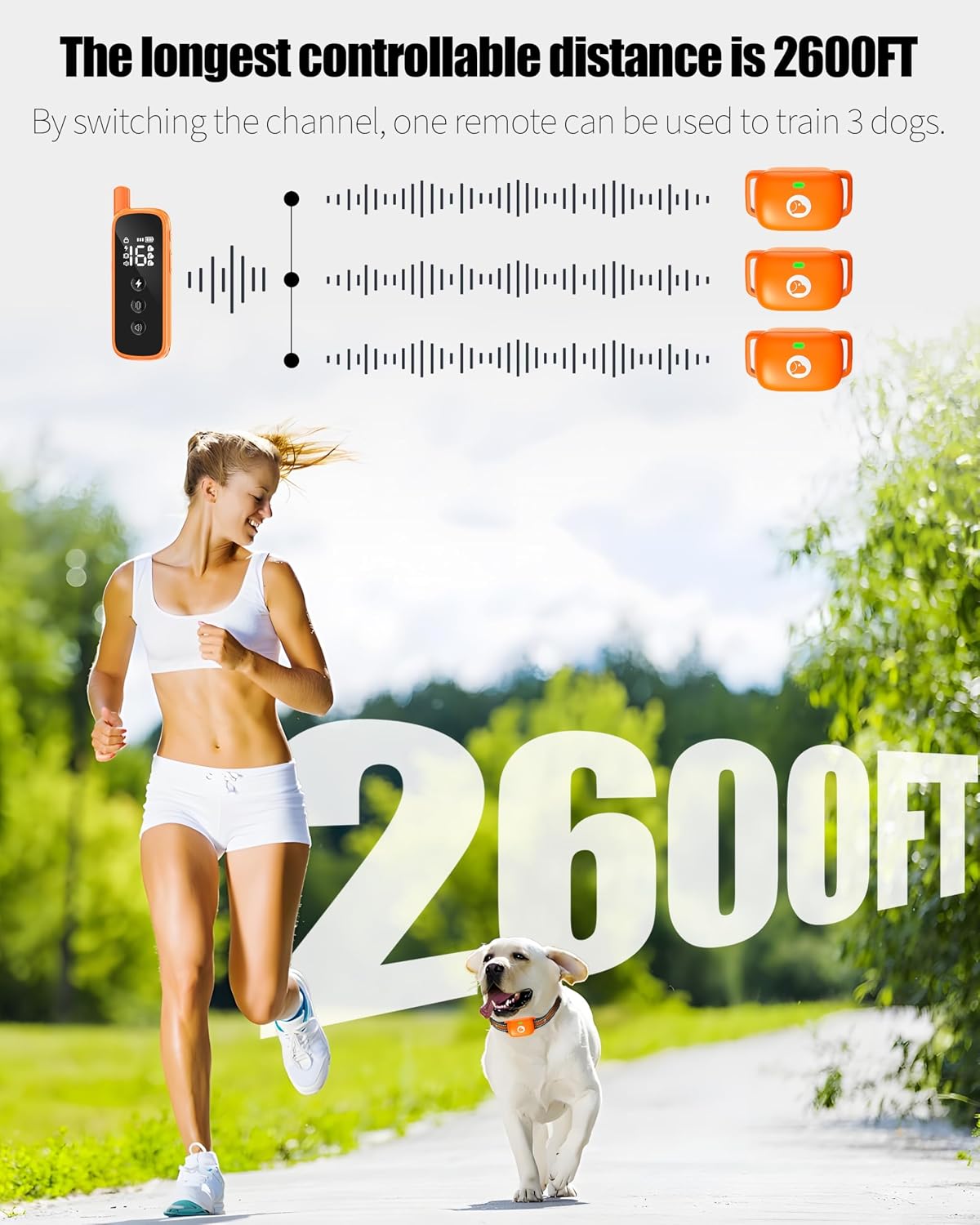 Shock Collar for Dogs 2600FT,Dog Training Collar with Remote Purple
