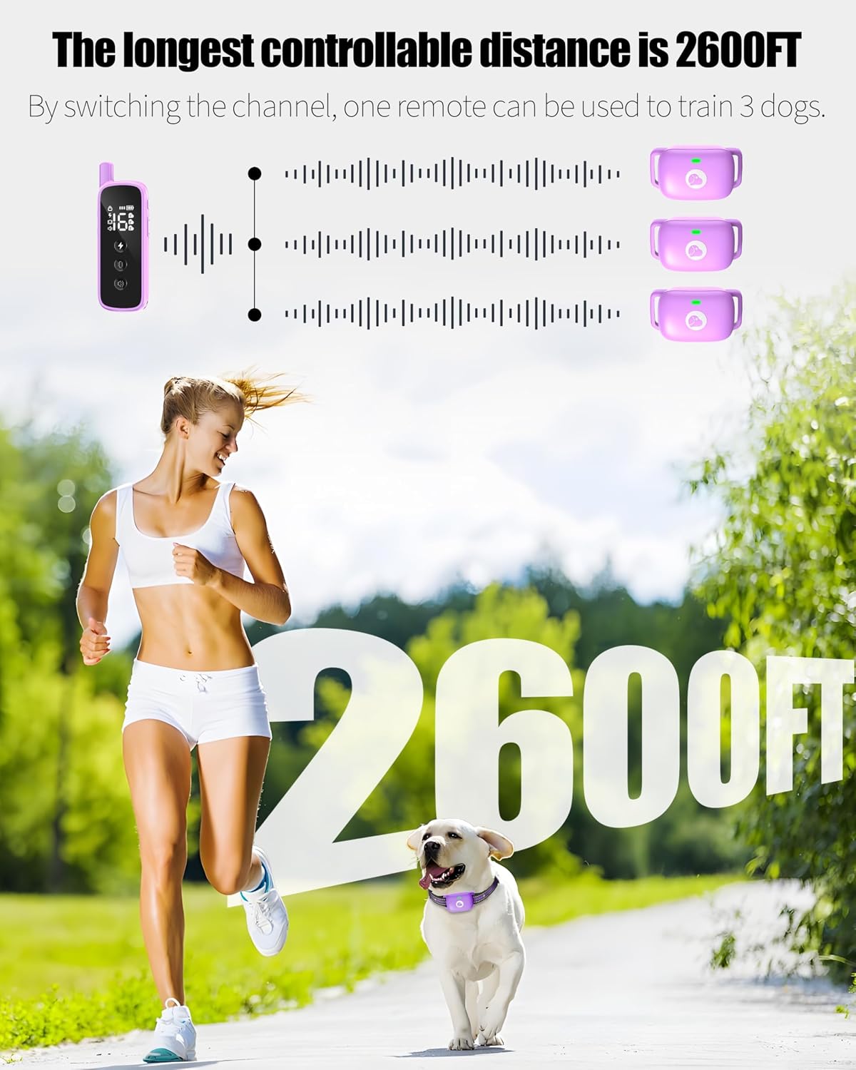 Shock Collar for Dogs 2600FT,Dog Training Collar with Remote Purple