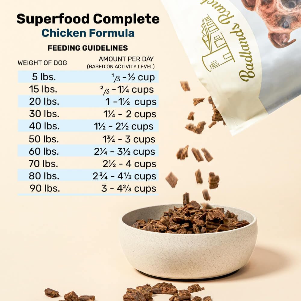 Air-Dried Beef Dog Food, 87% Real Meat, 24 oz