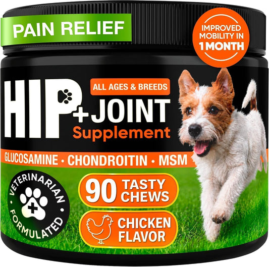 Hip and Joint Supplement for Dogs with Glucosamine, Chondroitin & MSM