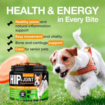Hip and Joint Supplement for Dogs with Glucosamine, Chondroitin & MSM