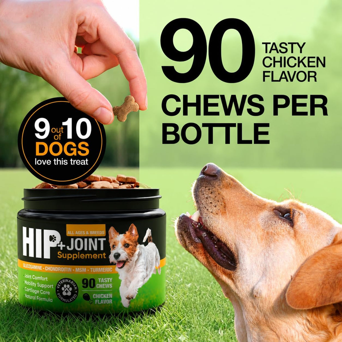 Hip and Joint Supplement for Dogs with Glucosamine, Chondroitin & MSM