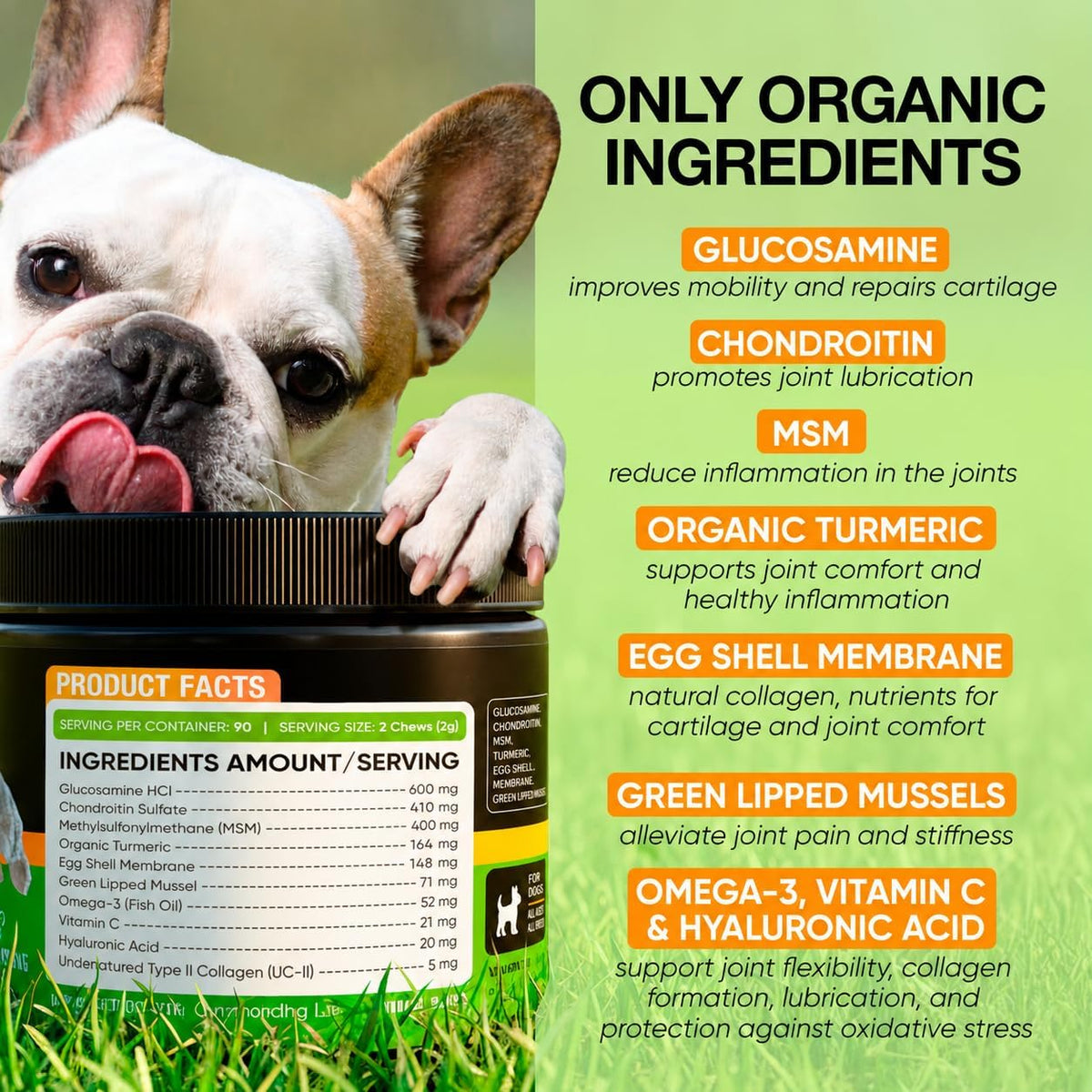 Hip and Joint Supplement for Dogs with Glucosamine, Chondroitin & MSM
