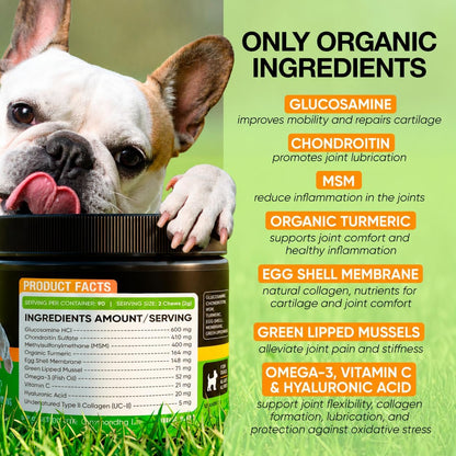 Hip and Joint Supplement for Dogs with Glucosamine, Chondroitin & MSM