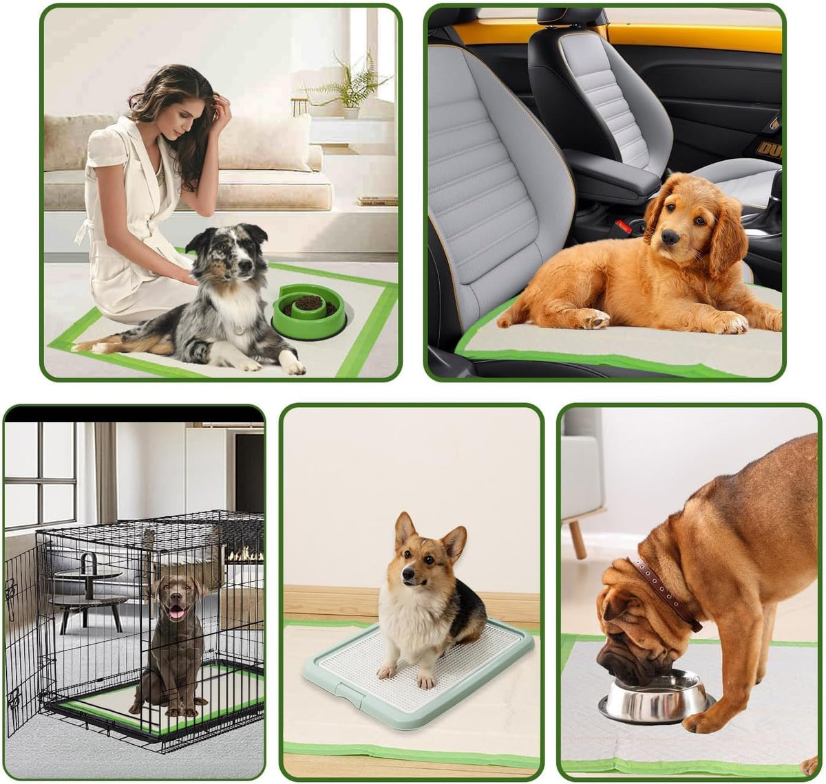 Dog Pee Pads, XL 28"x34", All Edge-Wrapped, ECO Thick Pad