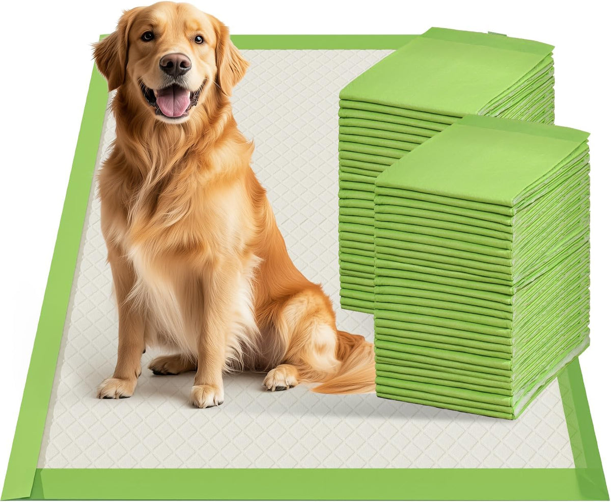 Dog Pee Pads, XL 28"x34", All Edge-Wrapped, ECO Thick Pad
