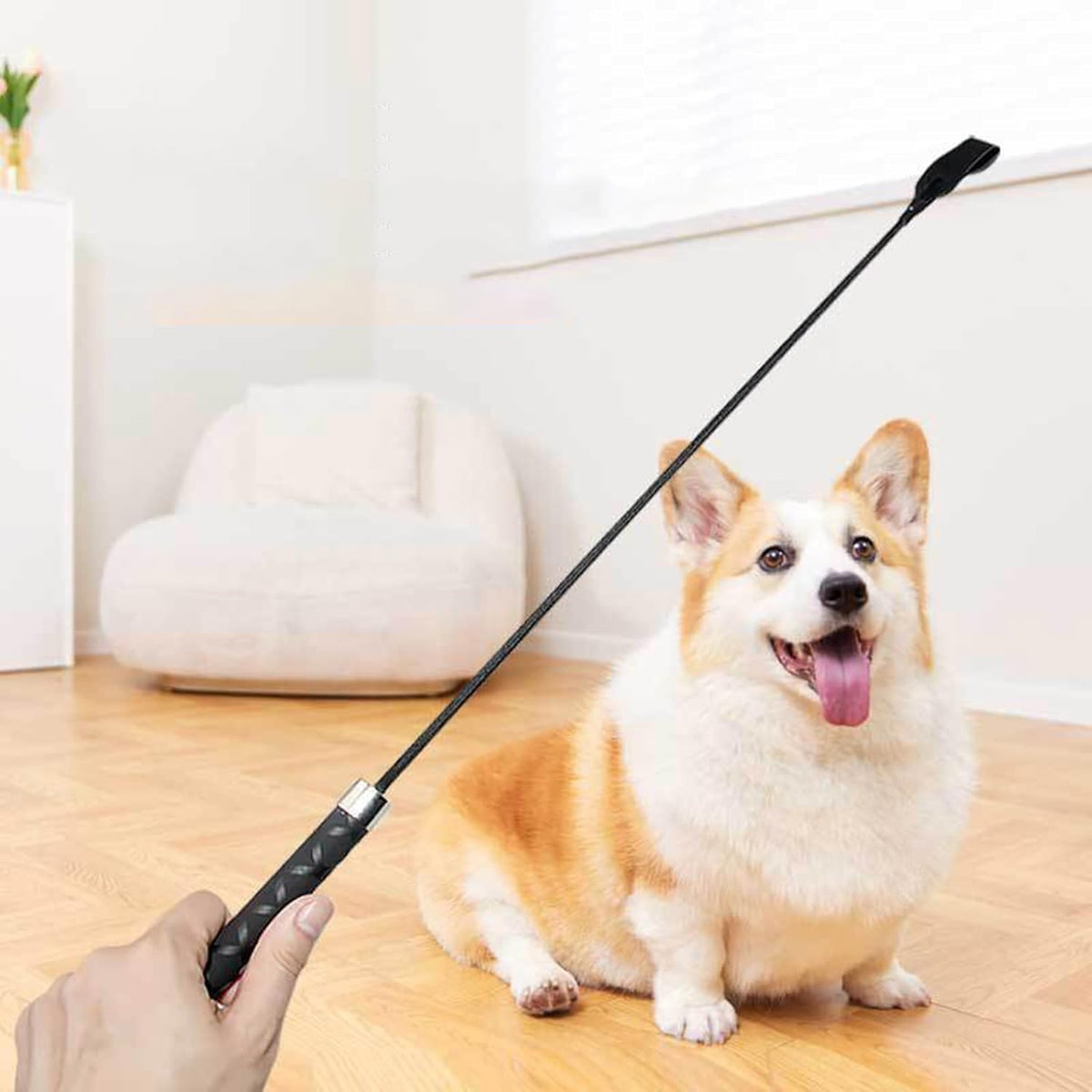 Dog Whip Pet Training Stick Foster Discipline and Behavior Training Agitation Whip for Large Dogs