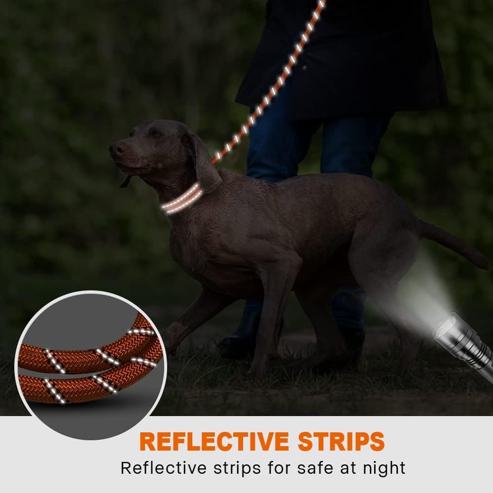 Rope Dog Leash for Medium Large Dogs, 6 FT Padded Handle, Black