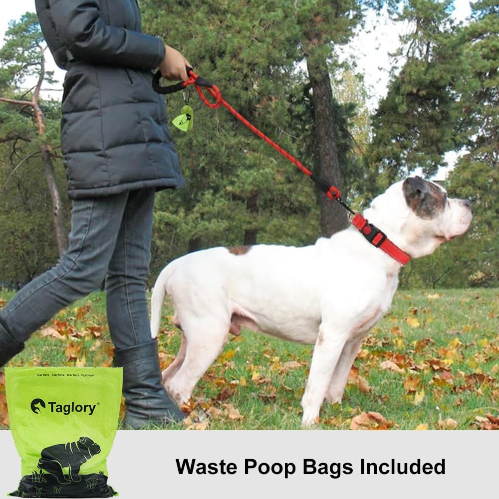 Rope Dog Leash for Medium Large Dogs, 6 FT Padded Handle, Black
