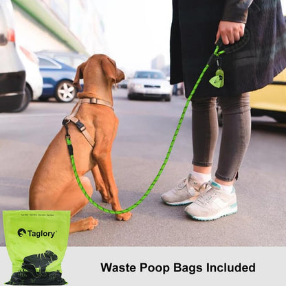 Rope Dog Leash for Medium Large Dogs, 6 FT Padded Handle, Black