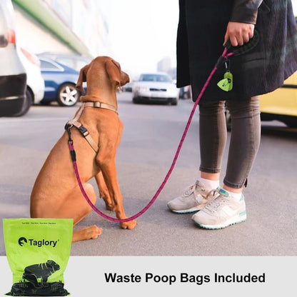 Rope Dog Leash for Medium Large Dogs, 6 FT Padded Handle, Black
