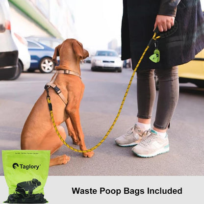Rope Dog Leash for Medium Large Dogs, 6 FT Padded Handle, Black