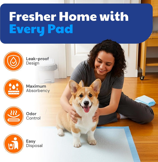 AKC Dog Training Pads, XL 28" x 30", Fresh Scent