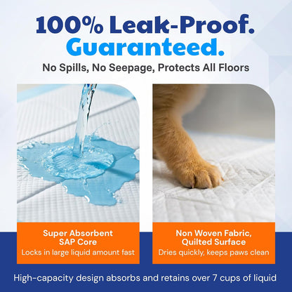 AKC Dog Training Pads, XL 28" x 30", Fresh Scent
