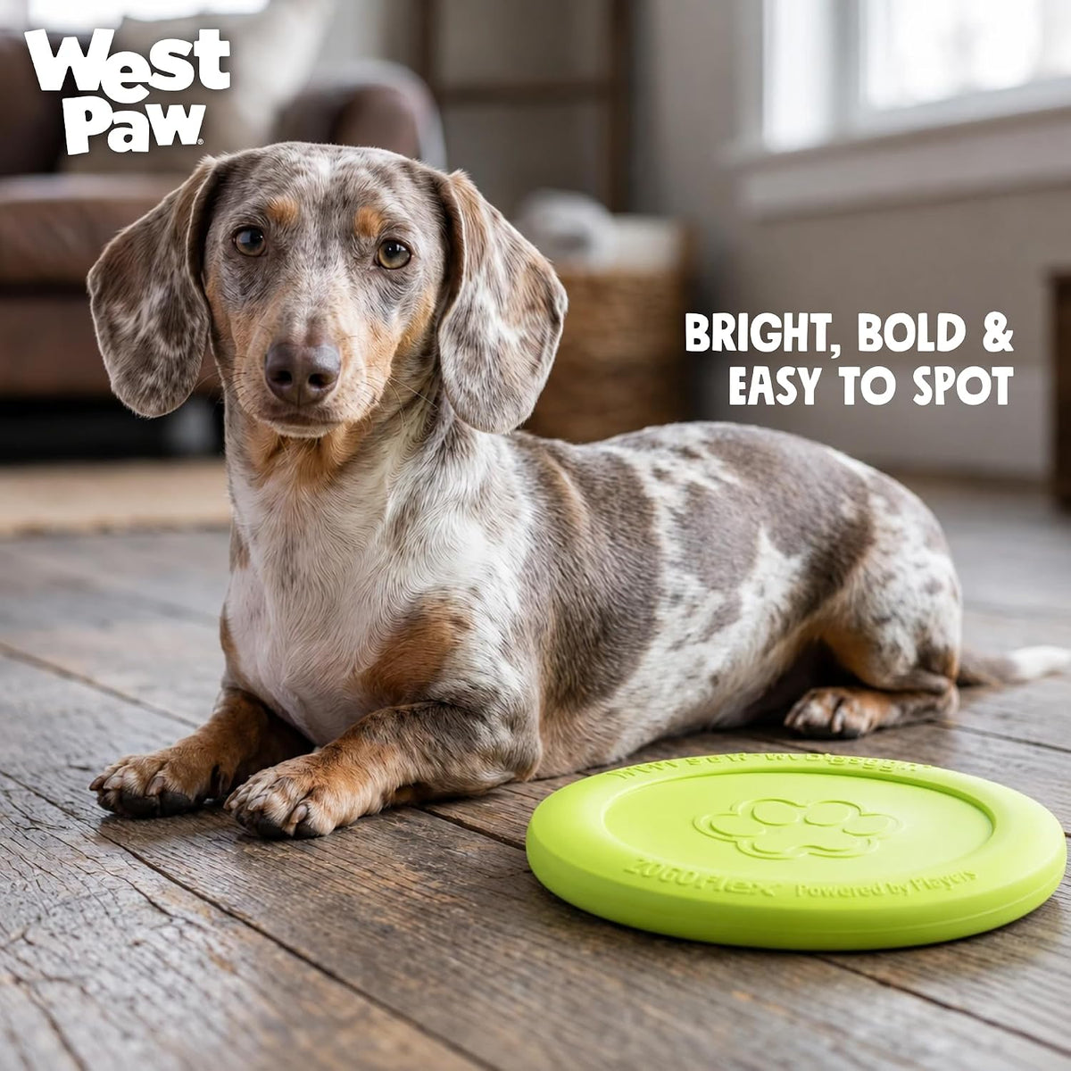 Zogoflex Zisc Dog Flying Disc, High Flying Aerodynamic Disc for Dogs Puppy – Lightweight, Floatable Disc for Fetch, Tug of War, Catch, Play – Doubles as Food/Water Bowl, Large 8.5", Tangerine