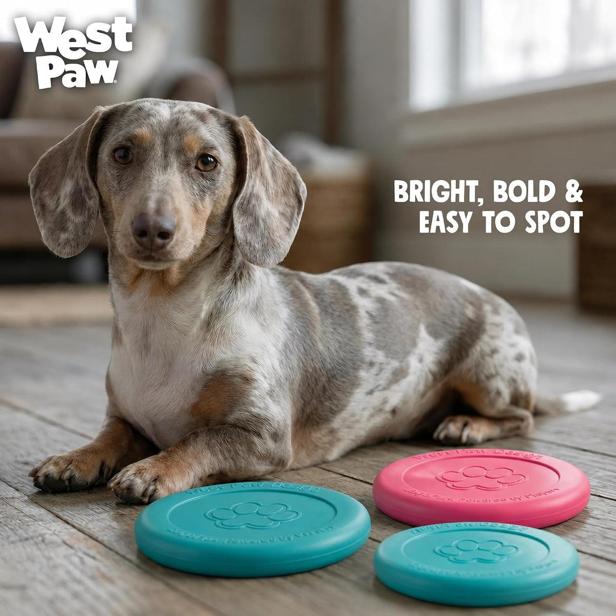 Zogoflex Zisc Dog Flying Disc, High Flying Aerodynamic Disc for Dogs Puppy – Lightweight, Floatable Disc for Fetch, Tug of War, Catch, Play – Doubles as Food/Water Bowl, Large 8.5", Tangerine