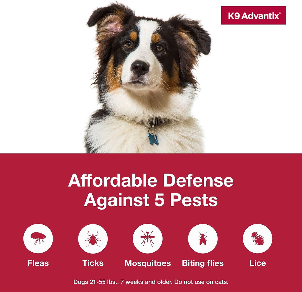 Flea, Tick & Mosquito Prevention for Dogs 21-55 lbs. | Flea Drops for Large Dogs | Apply Monthly | 2 Treatments