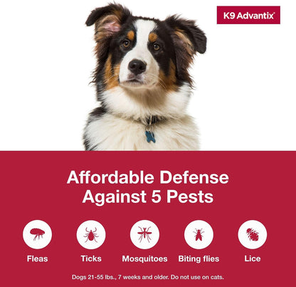 Flea, Tick & Mosquito Prevention for Dogs 21-55 lbs. | Flea Drops for Large Dogs | Apply Monthly | 2 Treatments