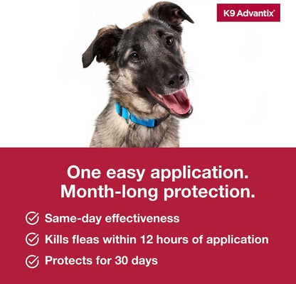Flea, Tick & Mosquito Prevention for Dogs 21-55 lbs. | Flea Drops for Large Dogs | Apply Monthly | 2 Treatments