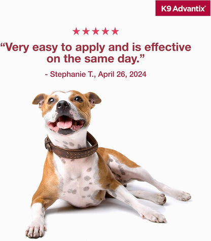 Flea, Tick & Mosquito Prevention for Dogs 21-55 lbs. | Flea Drops for Large Dogs | Apply Monthly | 2 Treatments