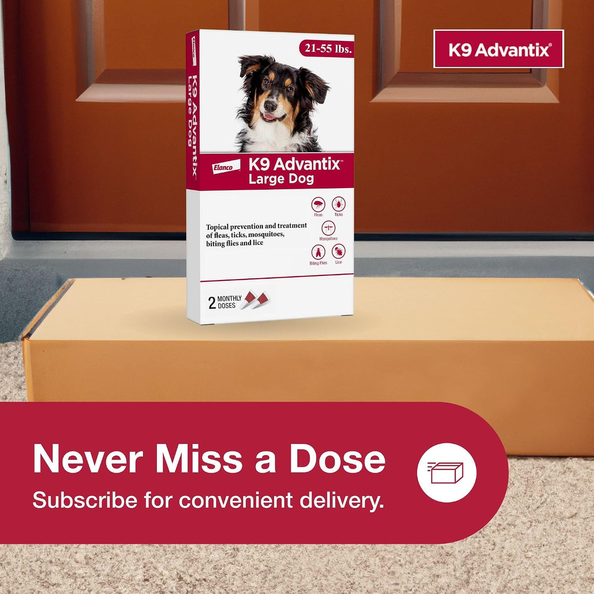 Flea, Tick & Mosquito Prevention for Dogs 21-55 lbs. | Flea Drops for Large Dogs | Apply Monthly | 2 Treatments