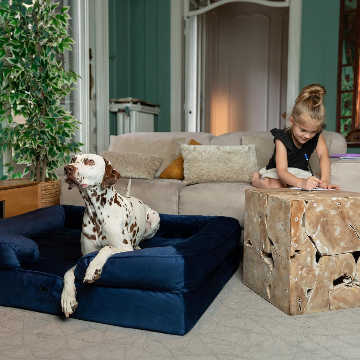 XL Dog Bed, 45x35x11 Inch, Orthopedic Large Dog Beds, Eggshell Memory Foam Infused with Cooling Gel, Inner Cover, Water Resistant, Machine Washable
