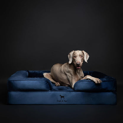 XL Dog Bed, 45x35x11 Inch, Orthopedic Large Dog Beds, Eggshell Memory Foam Infused with Cooling Gel, Inner Cover, Water Resistant, Machine Washable