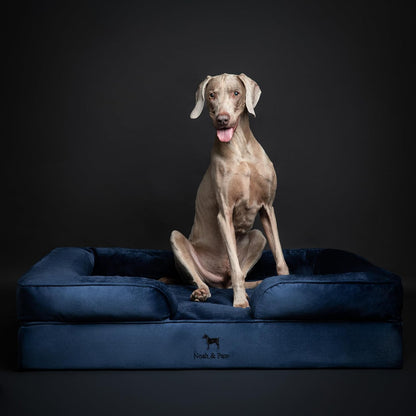 XL Dog Bed, 45x35x11 Inch, Orthopedic Large Dog Beds, Eggshell Memory Foam Infused with Cooling Gel, Inner Cover, Water Resistant, Machine Washable
