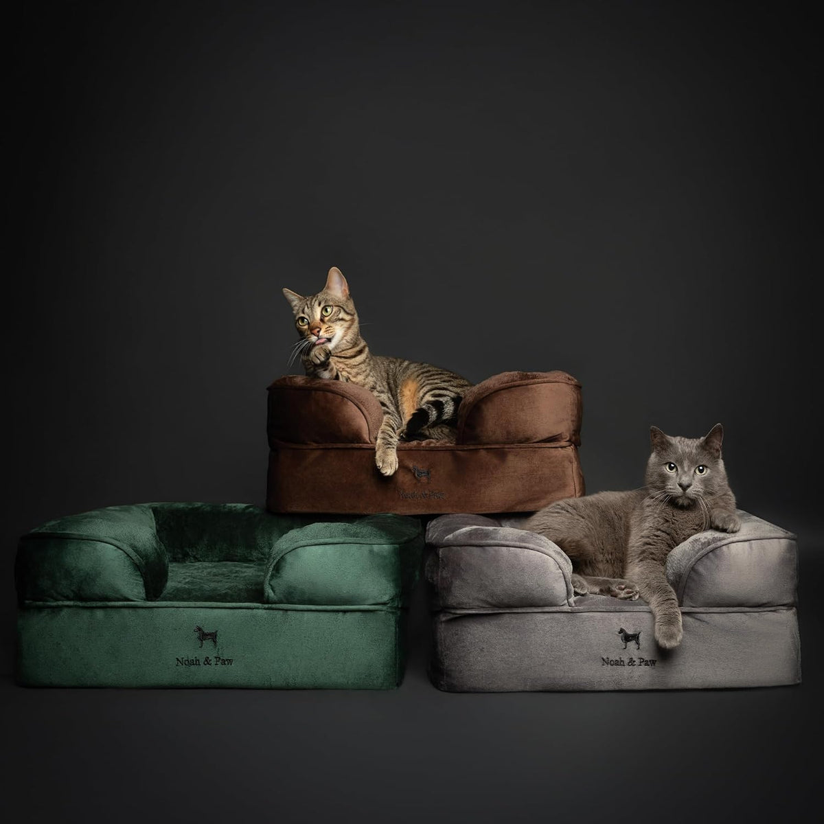 XL Dog Bed, 45x35x11 Inch, Orthopedic Large Dog Beds, Eggshell Memory Foam Infused with Cooling Gel, Inner Cover, Water Resistant, Machine Washable