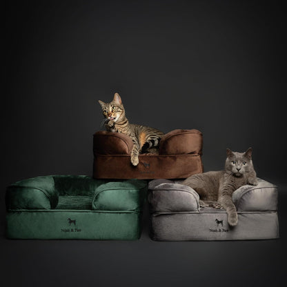 XL Dog Bed, 45x35x11 Inch, Orthopedic Large Dog Beds, Eggshell Memory Foam Infused with Cooling Gel, Inner Cover, Water Resistant, Machine Washable
