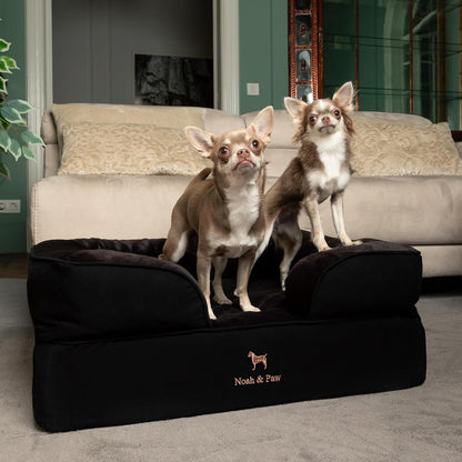 XL Dog Bed, 45x35x11 Inch, Orthopedic Large Dog Beds, Eggshell Memory Foam Infused with Cooling Gel, Inner Cover, Water Resistant, Machine Washable