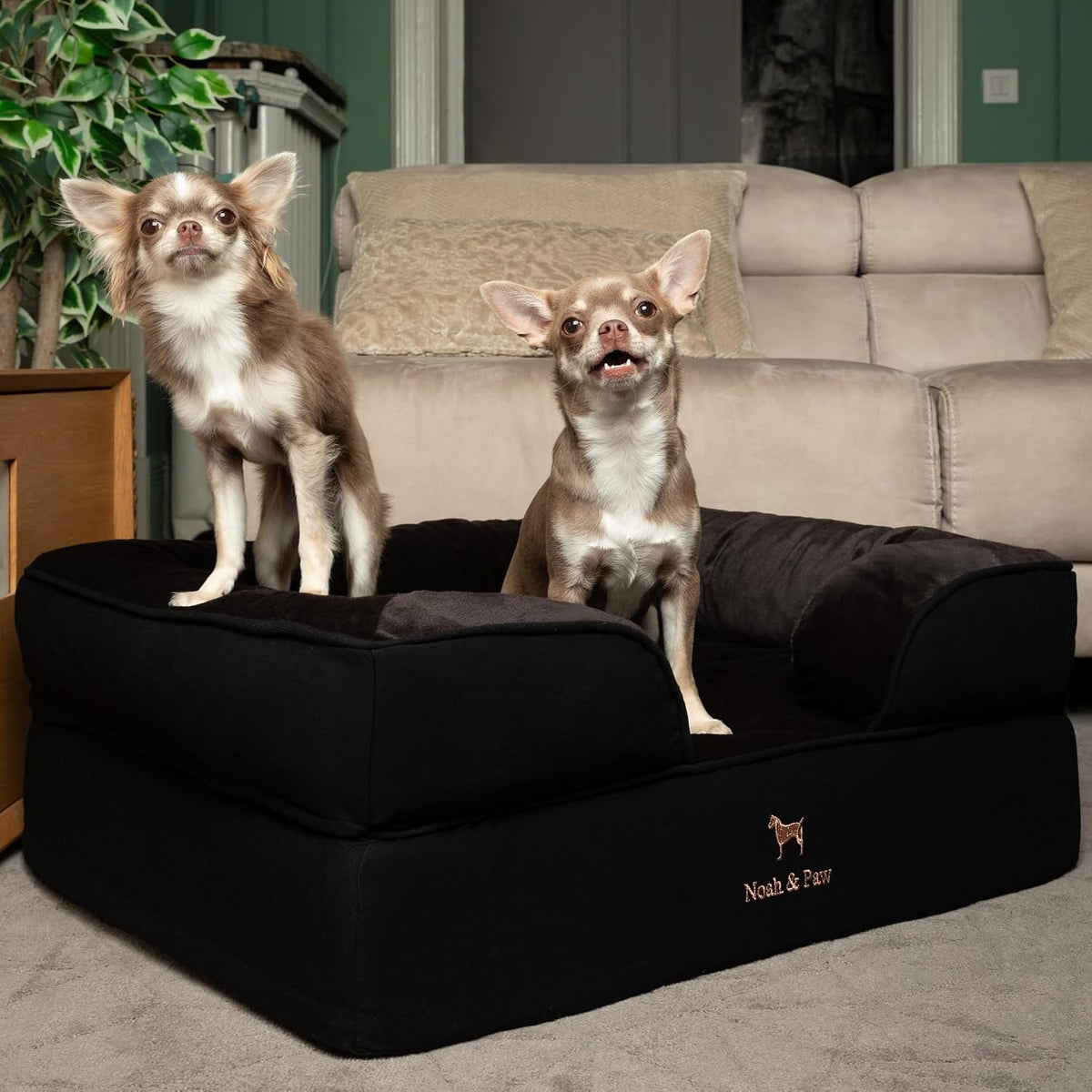 XL Dog Bed, 45x35x11 Inch, Orthopedic Large Dog Beds, Eggshell Memory Foam Infused with Cooling Gel, Inner Cover, Water Resistant, Machine Washable