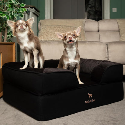 XL Dog Bed, 45x35x11 Inch, Orthopedic Large Dog Beds, Eggshell Memory Foam Infused with Cooling Gel, Inner Cover, Water Resistant, Machine Washable