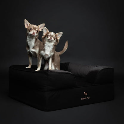XL Dog Bed, 45x35x11 Inch, Orthopedic Large Dog Beds, Eggshell Memory Foam Infused with Cooling Gel, Inner Cover, Water Resistant, Machine Washable