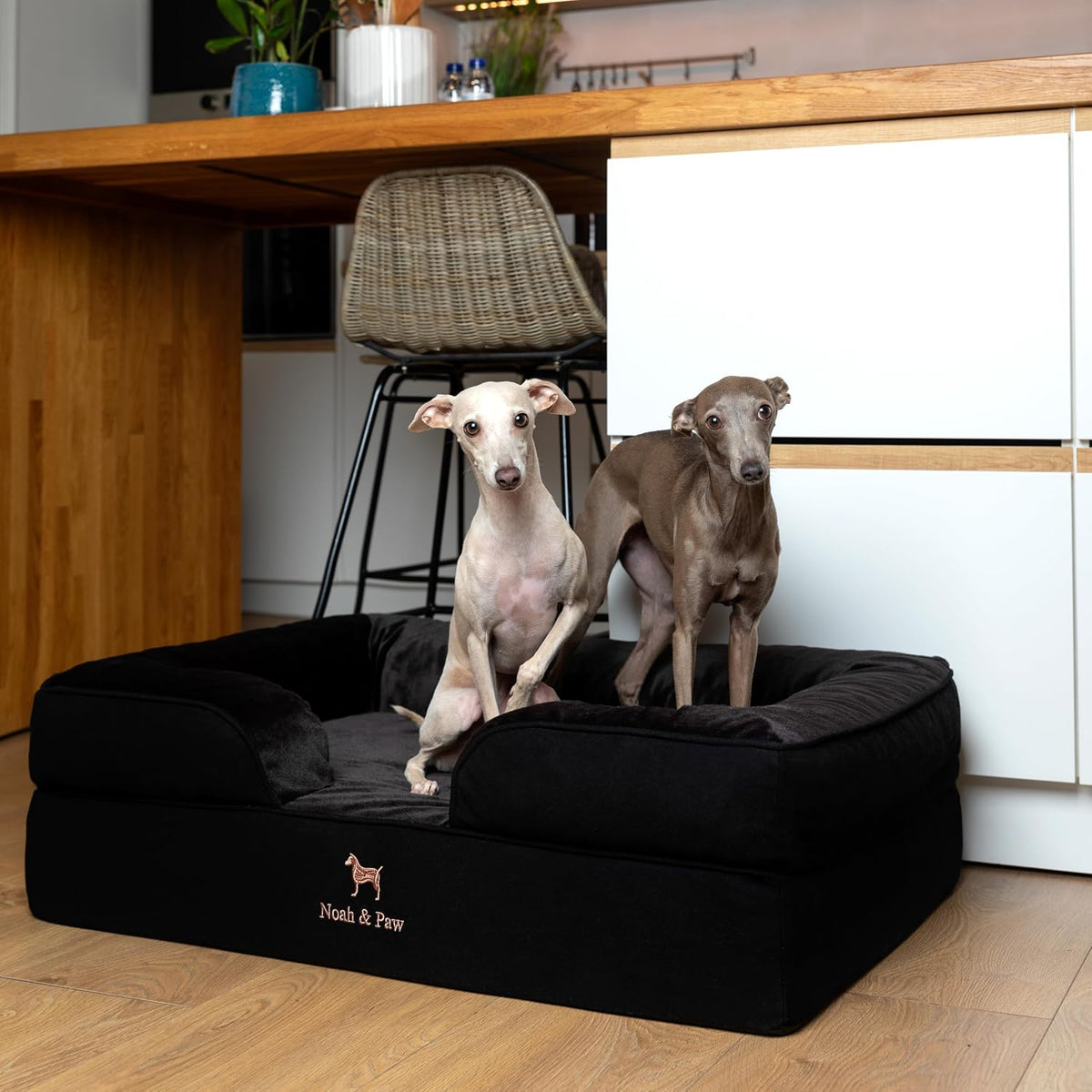 XL Dog Bed, 45x35x11 Inch, Orthopedic Large Dog Beds, Eggshell Memory Foam Infused with Cooling Gel, Inner Cover, Water Resistant, Machine Washable