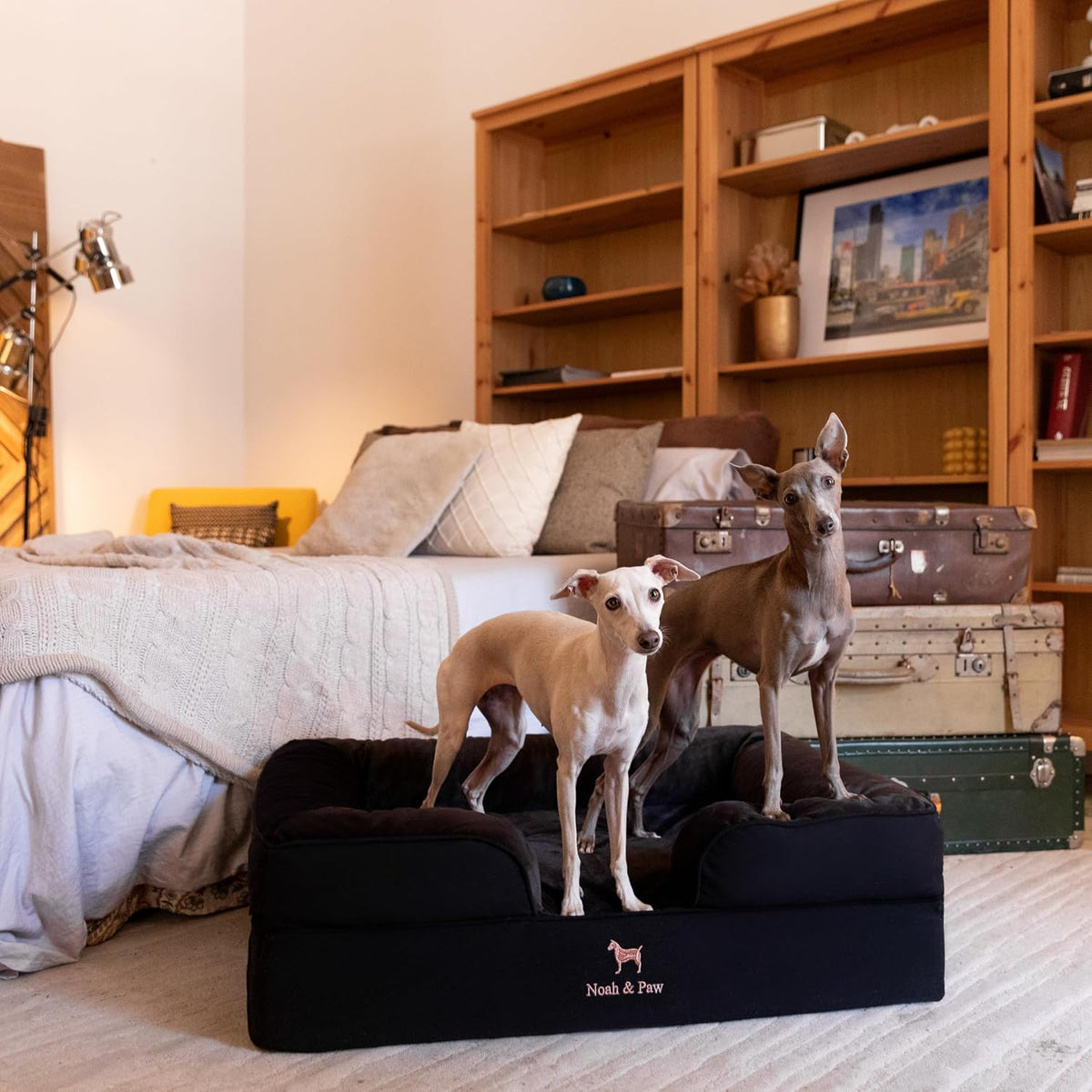 XL Dog Bed, 45x35x11 Inch, Orthopedic Large Dog Beds, Eggshell Memory Foam Infused with Cooling Gel, Inner Cover, Water Resistant, Machine Washable