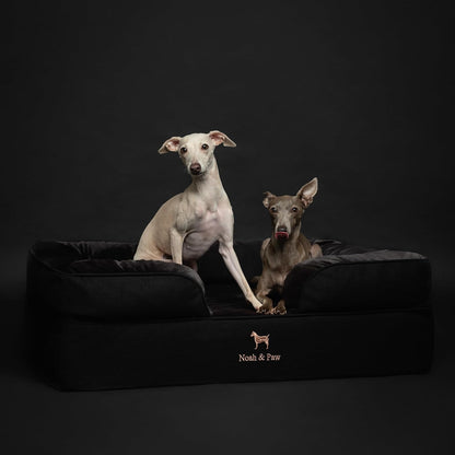 XL Dog Bed, 45x35x11 Inch, Orthopedic Large Dog Beds, Eggshell Memory Foam Infused with Cooling Gel, Inner Cover, Water Resistant, Machine Washable