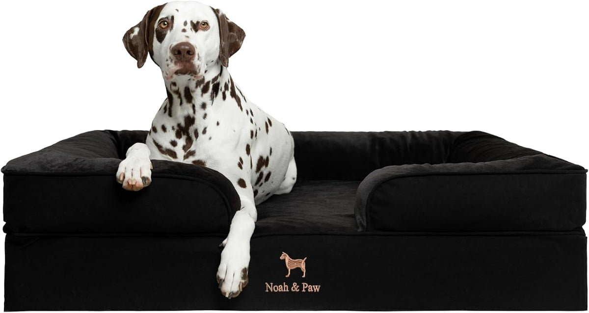 XL Dog Bed, 45x35x11 Inch, Orthopedic Large Dog Beds, Eggshell Memory Foam Infused with Cooling Gel, Inner Cover, Water Resistant, Machine Washable