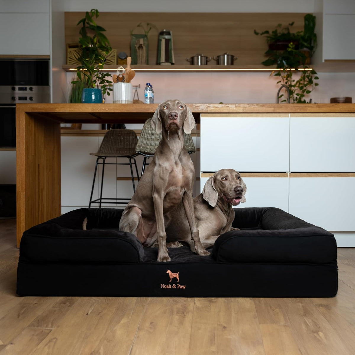 XL Dog Bed, 45x35x11 Inch, Orthopedic Large Dog Beds, Eggshell Memory Foam Infused with Cooling Gel, Inner Cover, Water Resistant, Machine Washable