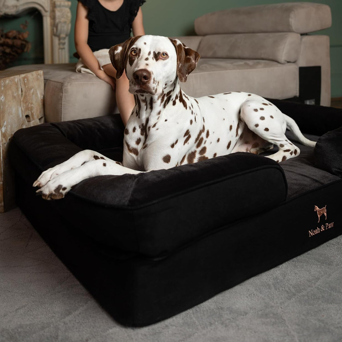 XL Dog Bed, 45x35x11 Inch, Orthopedic Large Dog Beds, Eggshell Memory Foam Infused with Cooling Gel, Inner Cover, Water Resistant, Machine Washable