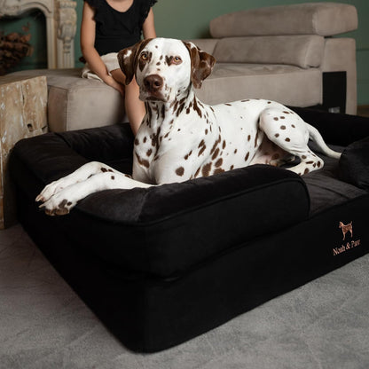 XL Dog Bed, 45x35x11 Inch, Orthopedic Large Dog Beds, Eggshell Memory Foam Infused with Cooling Gel, Inner Cover, Water Resistant, Machine Washable