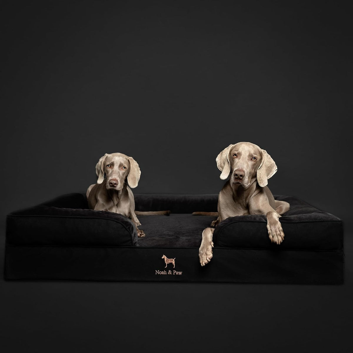 XL Dog Bed, 45x35x11 Inch, Orthopedic Large Dog Beds, Eggshell Memory Foam Infused with Cooling Gel, Inner Cover, Water Resistant, Machine Washable