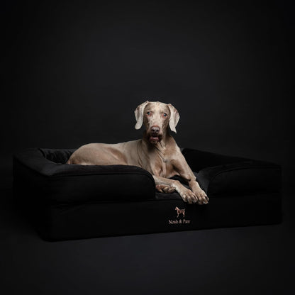 XL Dog Bed, 45x35x11 Inch, Orthopedic Large Dog Beds, Eggshell Memory Foam Infused with Cooling Gel, Inner Cover, Water Resistant, Machine Washable