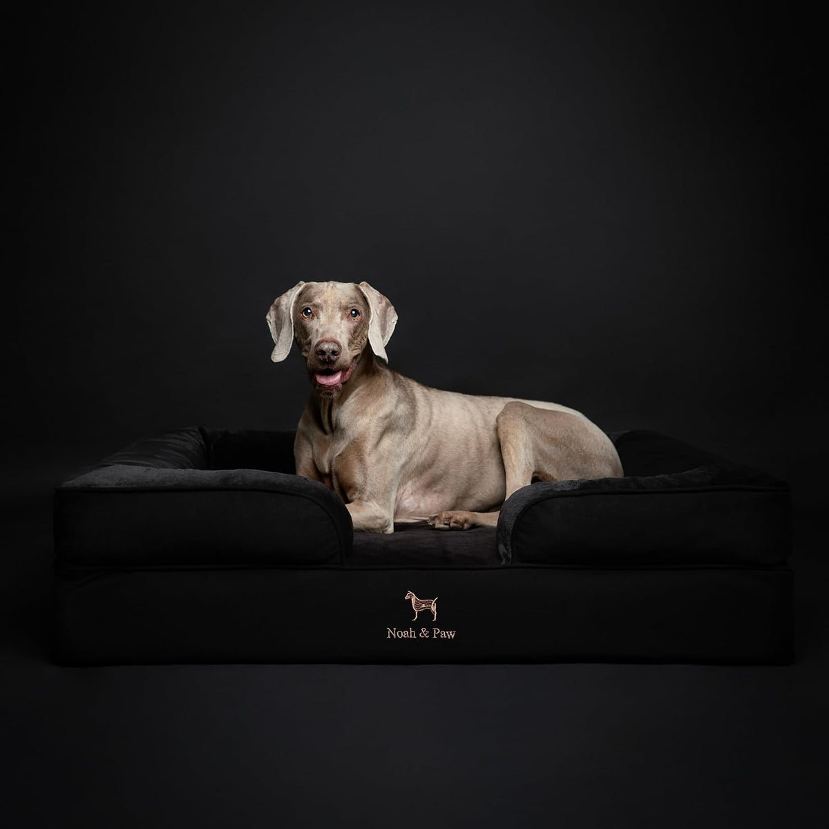 XL Dog Bed, 45x35x11 Inch, Orthopedic Large Dog Beds, Eggshell Memory Foam Infused with Cooling Gel, Inner Cover, Water Resistant, Machine Washable